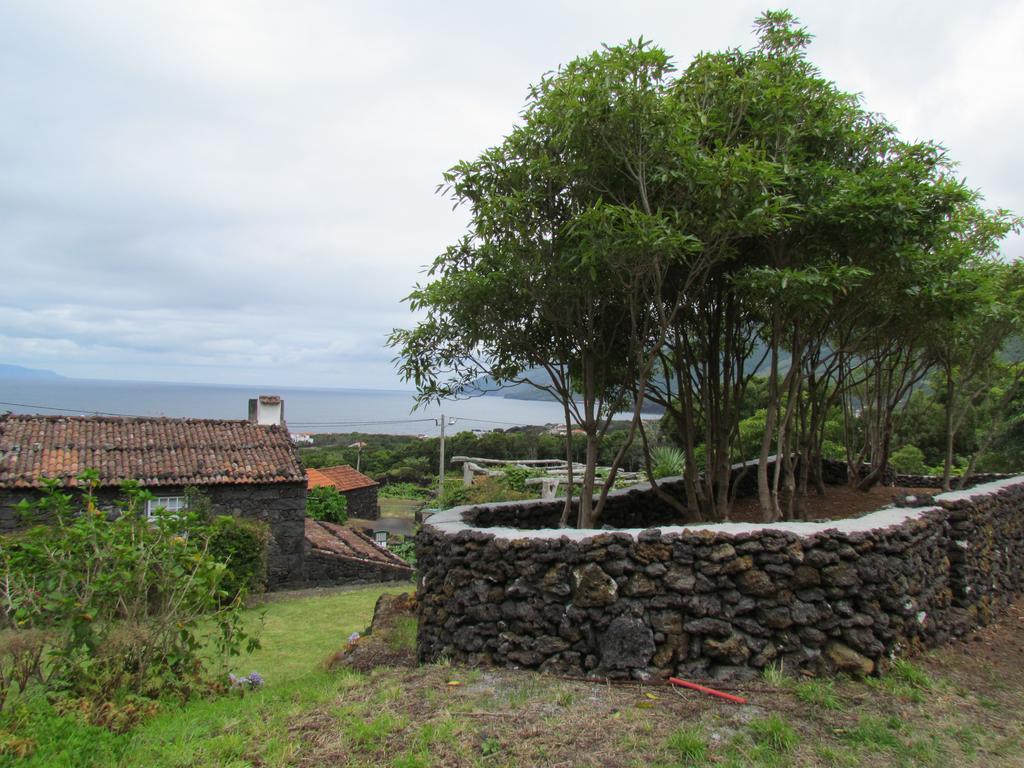 Casas De Campo Housesinpico Prainha  Luaran gambar
